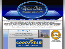 Tablet Screenshot of ameraflex.com